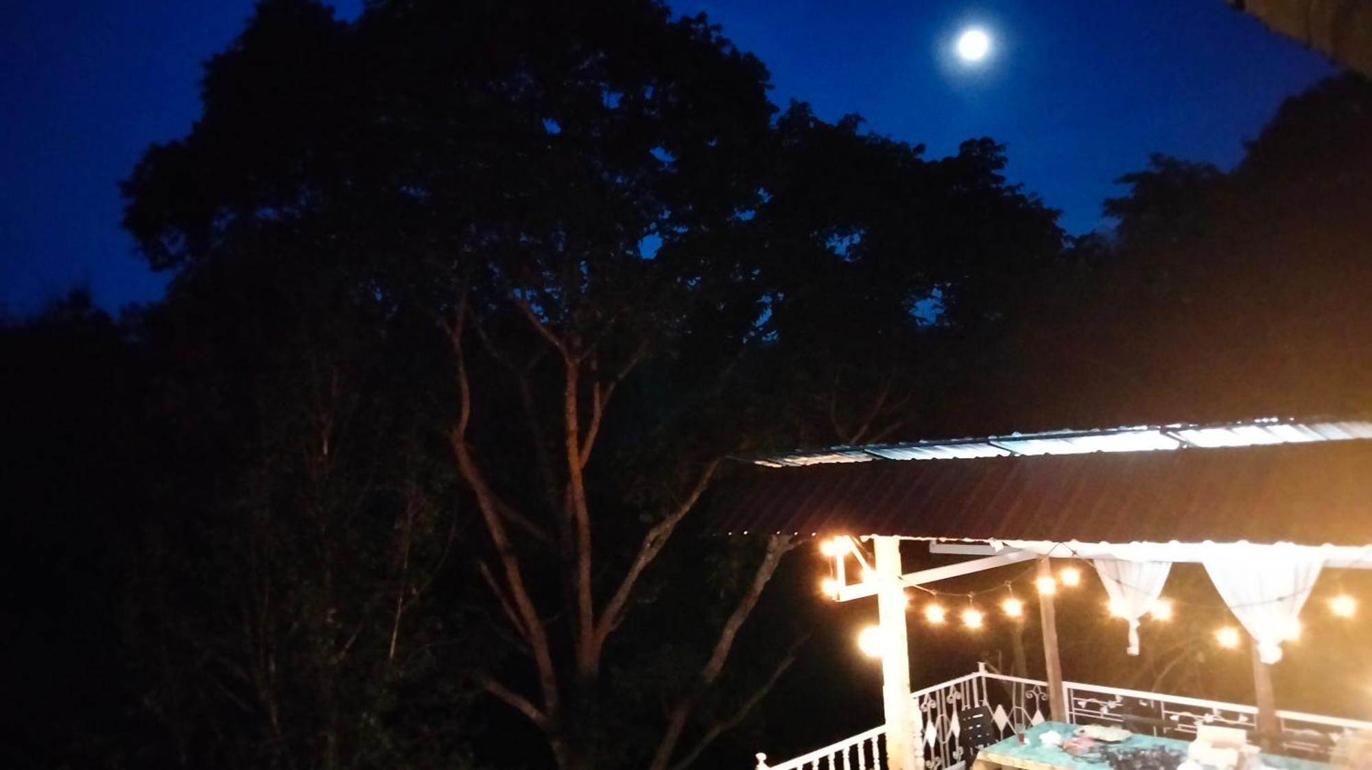 Balmy Hideout Cafe & Homestay Ban Huai Kaeo Esterno foto