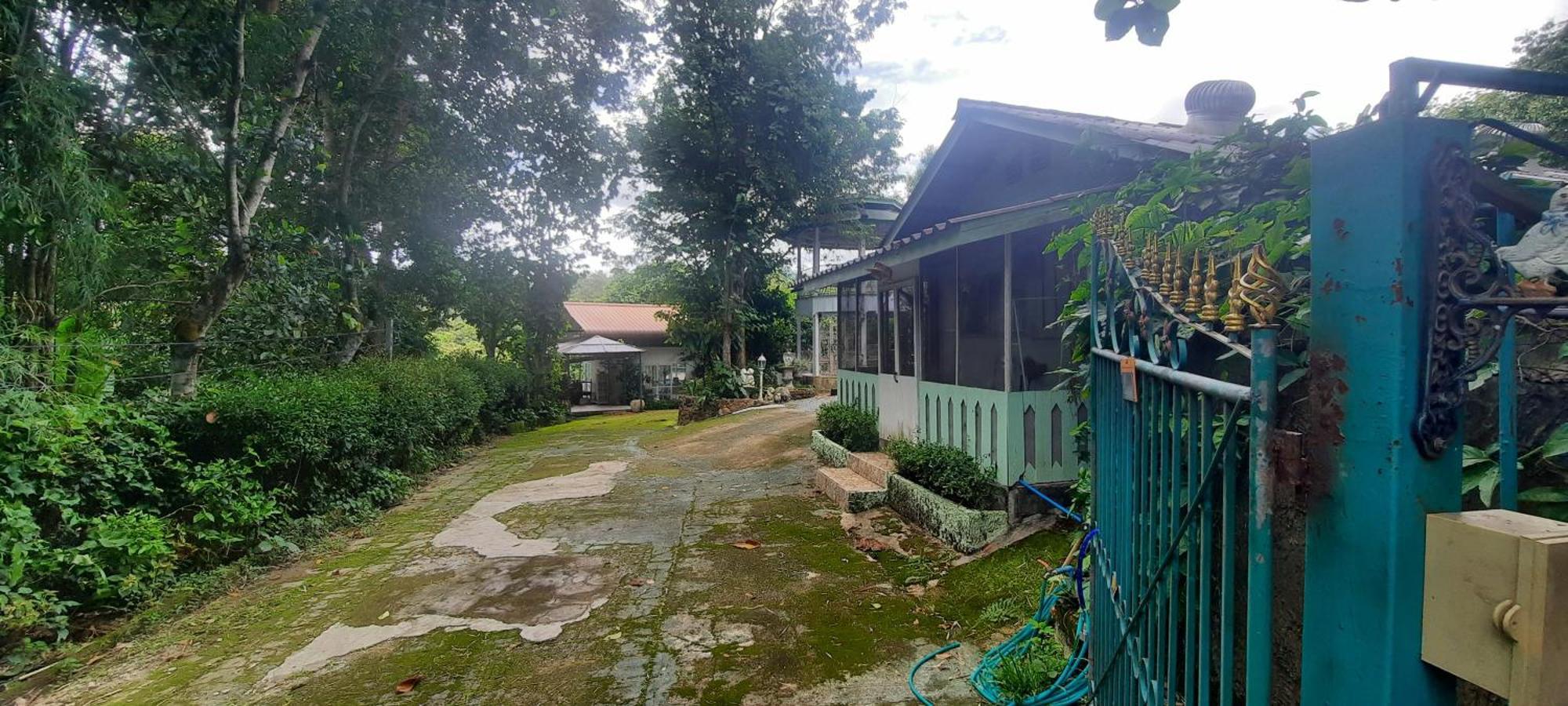 Balmy Hideout Cafe & Homestay Ban Huai Kaeo Esterno foto