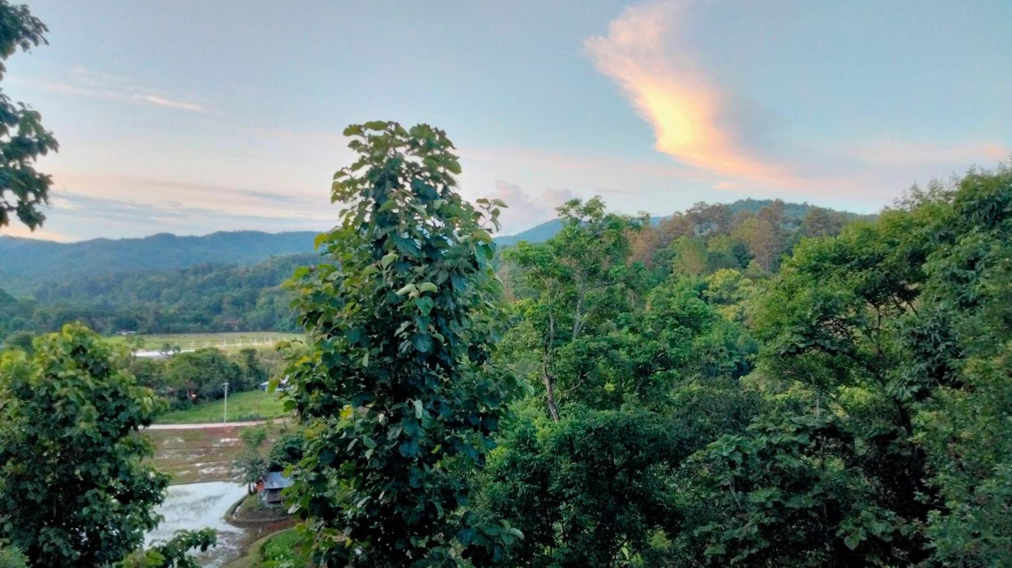 Balmy Hideout Cafe & Homestay Ban Huai Kaeo Esterno foto
