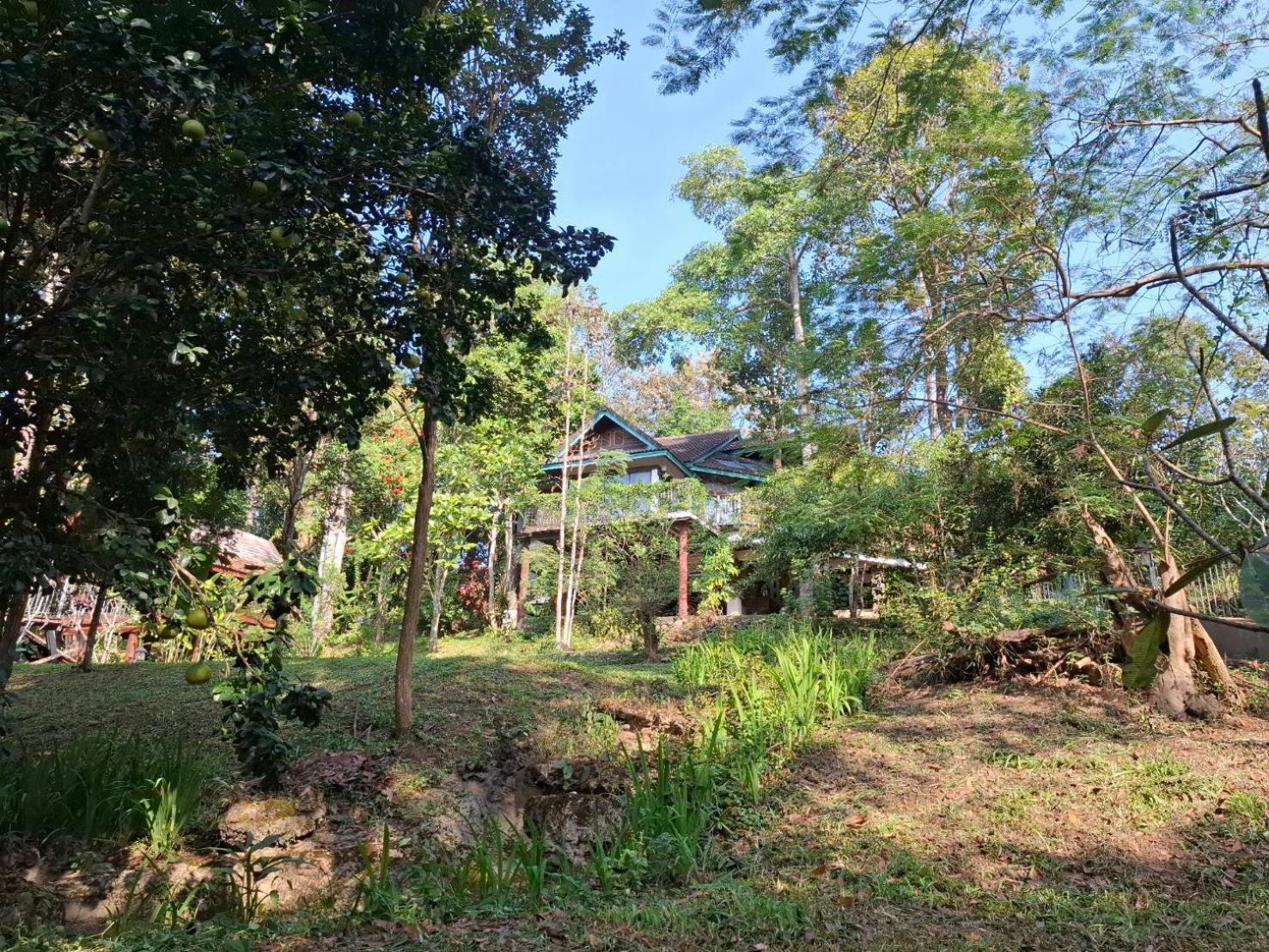 Balmy Hideout Cafe & Homestay Ban Huai Kaeo Esterno foto